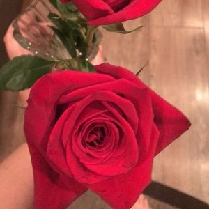 Meet your Posher, Kelly